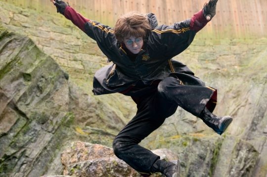 harry-saute.jpg harry-saute.jpg