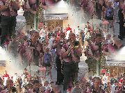 PICT0118.JPG PICT0118.JPG