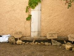 IMAG0081.JPG IMAG0081.JPG