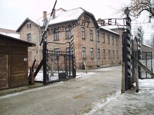 Déclaration de Muhammad Barakeh, député communiste israëlien pour les 65 ans de la libération d'Auschwitz par l'Armée Rouge