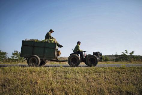 Cuba. Juan Carlos Marsan « Ce n’est pas le FMI qui impose ses règles mais La Havane »