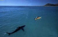 Flottille pour Gaza: 21 pays asiatiques dénoncentI israël Flottille pour Gaza: 21 pays asiatiques dénoncentI israël