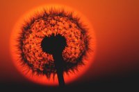 Europe: éclipse partielle de soleil visible ce mardi matin et autres actus Europe: éclipse partielle de soleil visible ce mardi matin et autres actus