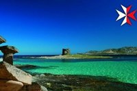 Malta news: political crisis Malta news: political crisis