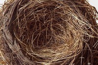 Le creux européen Le creux européen