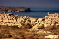 Malta news: Gonzi's game Malta news: Gonzi's game