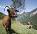 http://www.editoweb.eu/Manuel-Valls-rencontre-les-syndicats_a26924.html