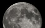 Malta news: Space Colony Inc