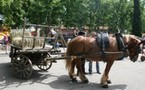 Istres et Entressen: un été convivial d'arts et cultures