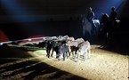 10ème anniversaire de la feria mondiale du taureau