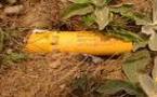 Les bombes à sous-munitions interdites dans 111 pays