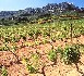 Aix-en-Provence: Bacchus et les grands vins de France