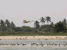 Séjour au SENEGAL