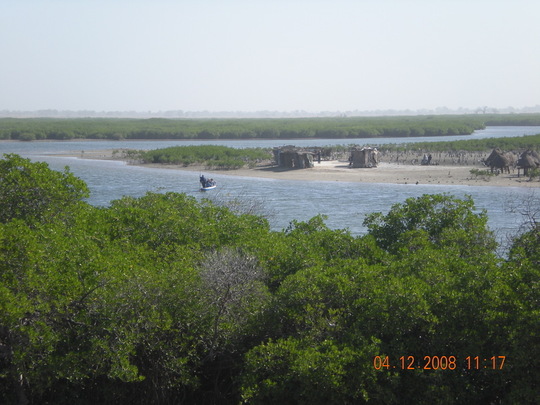 Les îles du Sénégal Les îles du Sénégal
