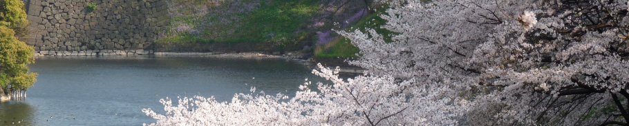 Toku-no-Kuto Toku-no-Kuto