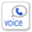 Google Voice