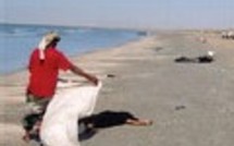 Trafic d'êtres humains au Golfe d'Aden
