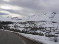 P3140038.JPG