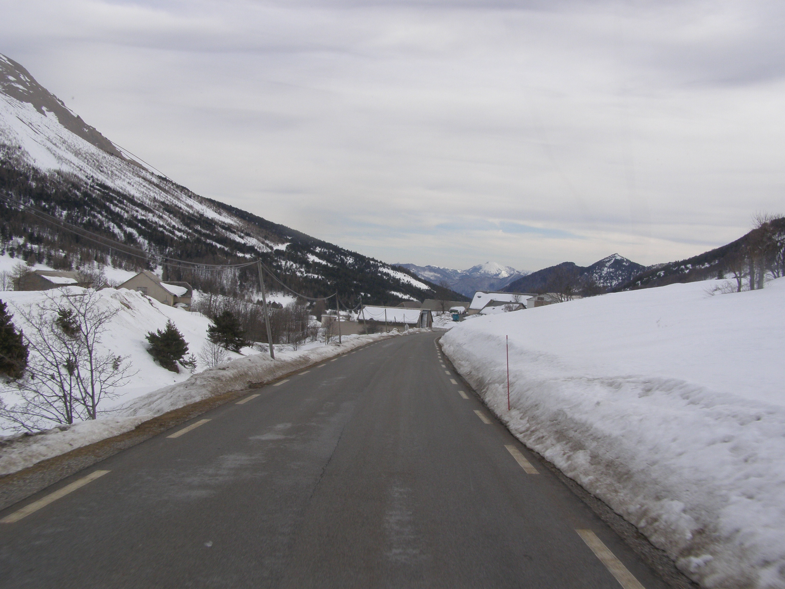 P3140042.JPG