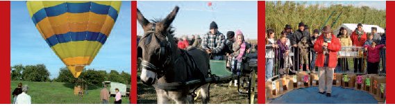 CONCOURS DE CHIEN DE BERGER SUR TROUPEAUX