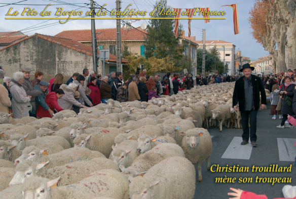 Grand défilé de la transhumance Grand défilé de la transhumance