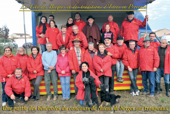 Concours de chien de bergers sur troupeaux