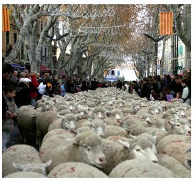 La festo di Pastre 2010 : L’année des Carreto ramado (charrette fleurie)