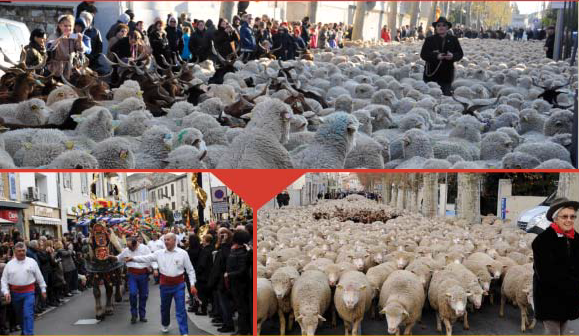 GRAND DÉFILÉ DE LA TRANSHUMANCE