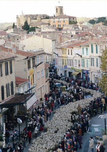 GRAND DEFILE DE LA TRANSHUMANCE
