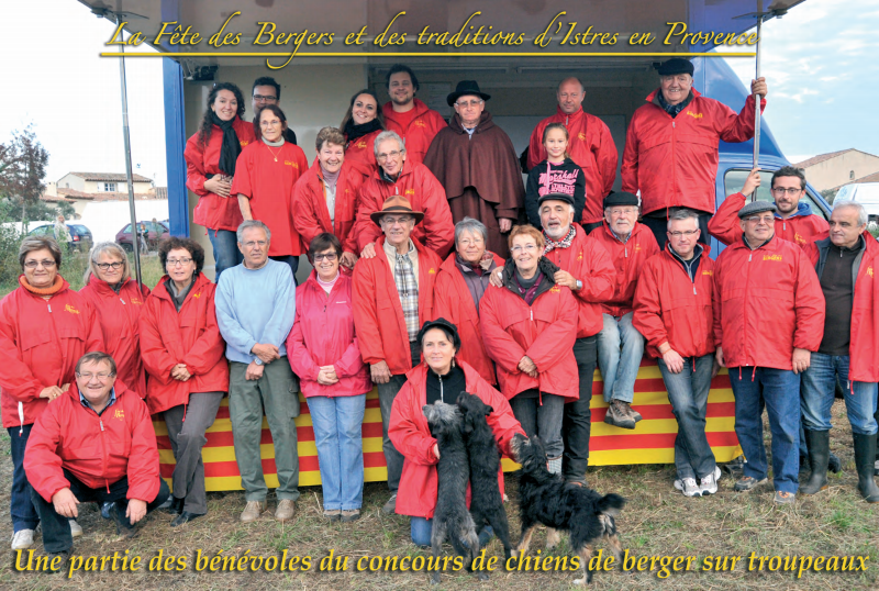 Concours de chien de bergers sur troupeaux