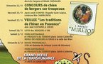 Programme 2009
