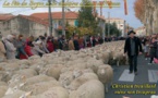 Grand défilé de la transhumance