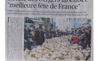 La Fête des Bergers d'Istres labellisée meilleure fête de France