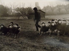 Depuis 1976 Depuis 1976