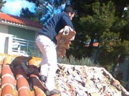 Victor Belli Artisan couvreur Bordeaux 32 Victor Belli Artisan couvreur Bordeaux 32