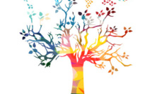  Pourquoi et qui recommande les formations Docendi  ?