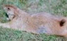 Après avoir bien dormi.