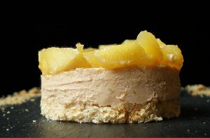 Foie gras du sud ouest Lamigeon ph5 Foie gras du sud ouest Lamigeon ph5