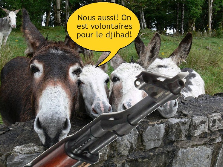 Pour ne pas hurler avec les loups Pour ne pas hurler avec les loups