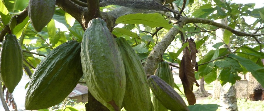 L'athée, le catholique et le musulman: la laïcité sans en parler L'athée, le catholique et le musulman: la laïcité sans en parler