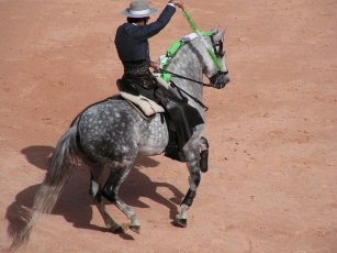 CORRIDA ISTRES CORRIDA ISTRES