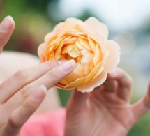 Fleurir au Naturel : Naturopathie et Santé Féminine