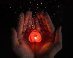 Grand marabout medium Grand marabout medium