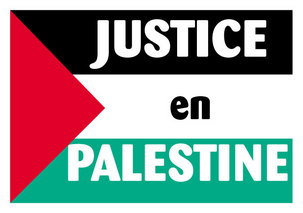 Rassemblement de solidarité pour la Palestine