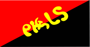 Le PKLS contre tous les « PWOFITè » et la « PWOFITASYON »