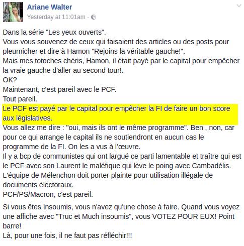Ces insoumis de la 13ème circonscription des Bouches-du-Rhône, plus bruns que rouges