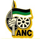 Victoire de l'ANC en Afrique du Sud