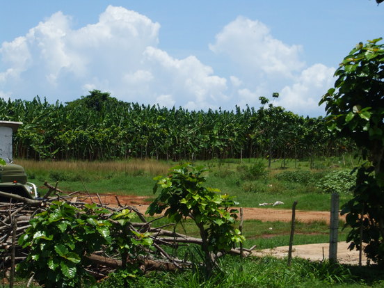 Cuba: Tenemos y tendremos SOCIALISMO (partie 1)