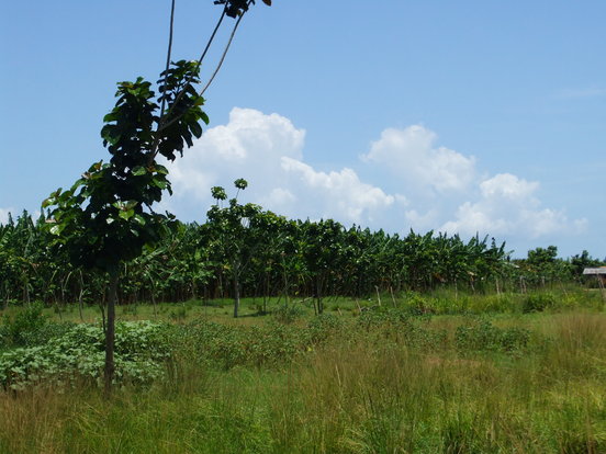 Cuba: Tenemos y tendremos SOCIALISMO (partie 1)