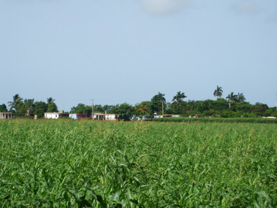 Cuba: Tenemos y tendremos SOCIALISMO (partie 1)